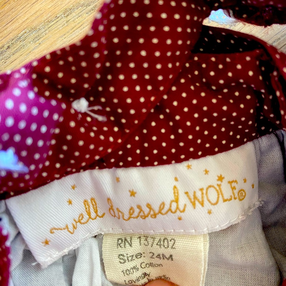 Well Dressed Wolf toddler girl two piece set 24m